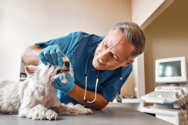 Best Emergency Treatment for Dental Infections or Abscesses in Sherwood, OH