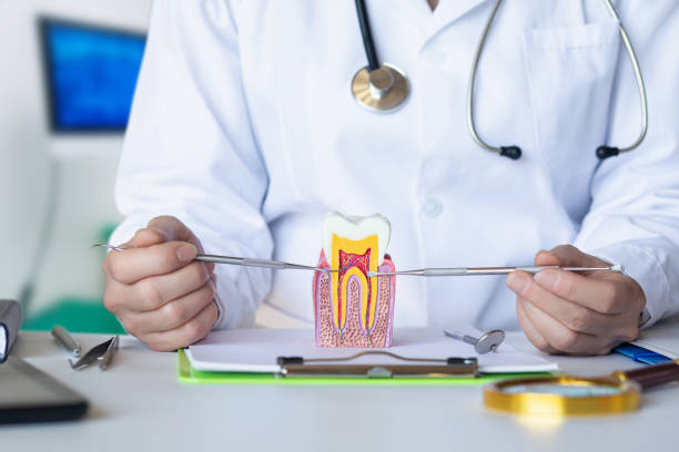 Best Emergency Wisdom Teeth Removal in Sherwood, OH